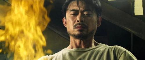 樊少皇电影在线观看,重温经典武侠传奇