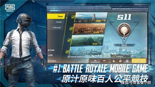 吃鸡新皮肤爆料最新版,揭秘最新爆料版神秘面纱